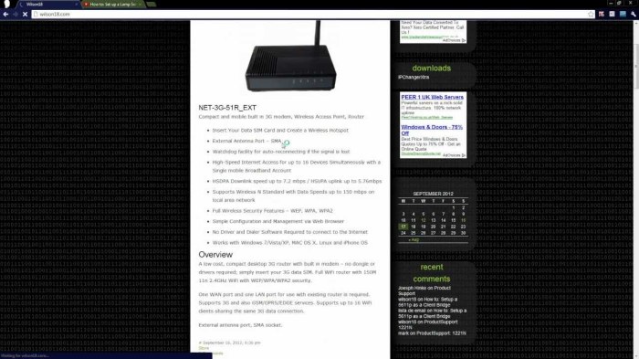 How to host multiple websites on one server