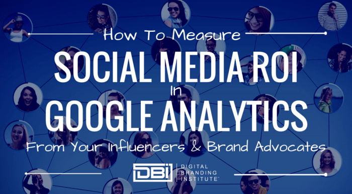 Analytics segments metrics dreamgrow segment visitors Measuring social roi using adobe google
