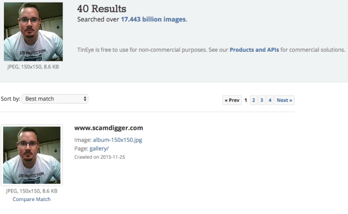 Tineye tutorial search glance searches comparing useful multiple which Check non copyright pictures using tineye