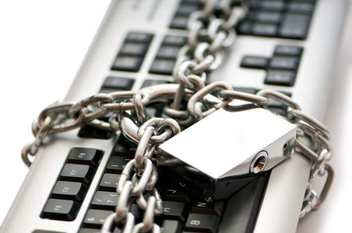 Eggs app safe whether student makes university check The egg internet privacy