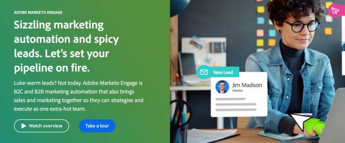 How web personalization in marketo improves conversion rates