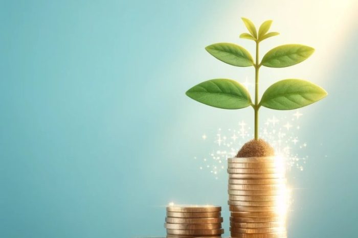Promoting seo for company growth a focus on seo first thinking