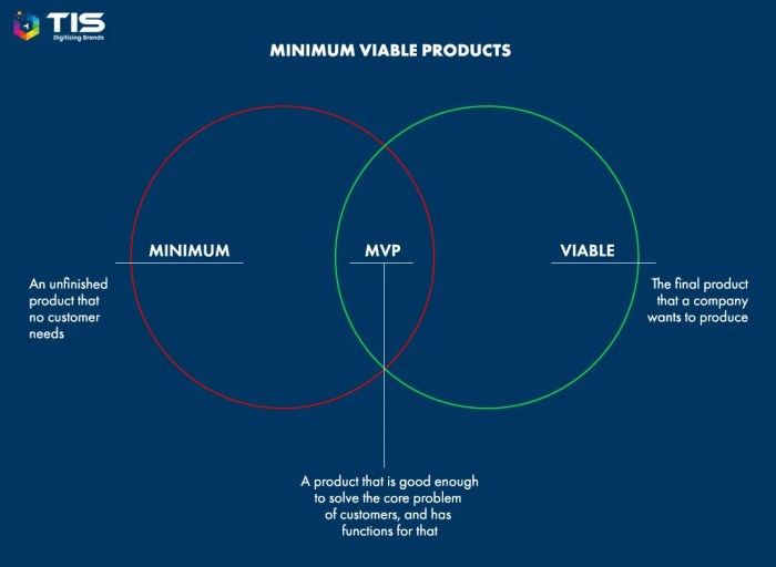 Ultimate guide to building a minimum viable product