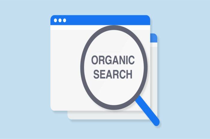 Primary source organic search