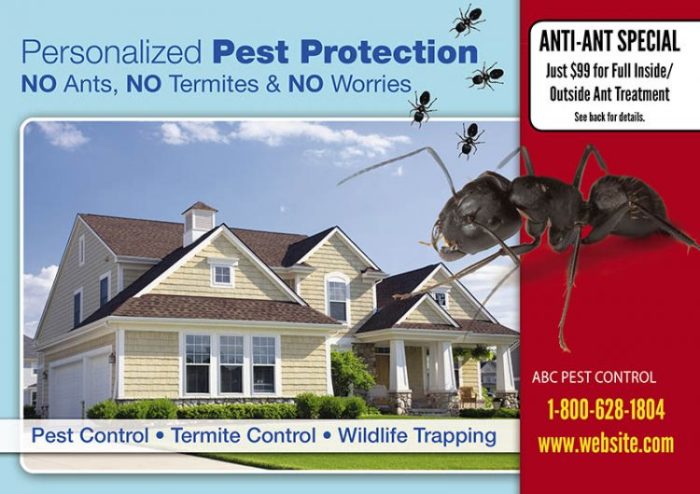 Pest control digital ads a how to guide