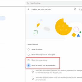 What are browser cookies
