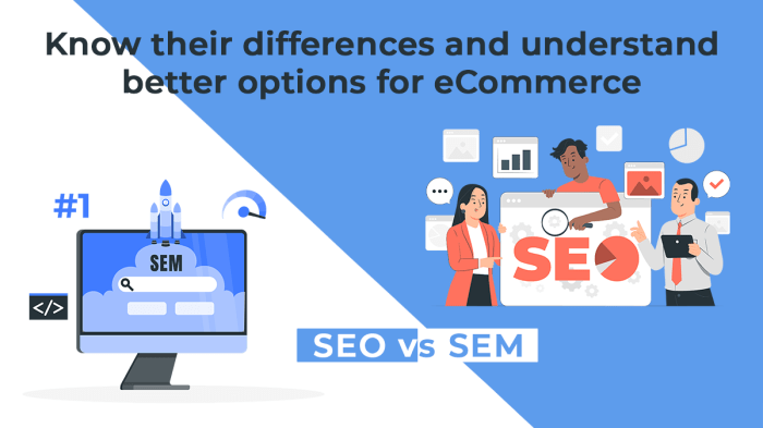 Seo sem vs what differences both need them do Regular seo vs enterprise seo understanding the difference