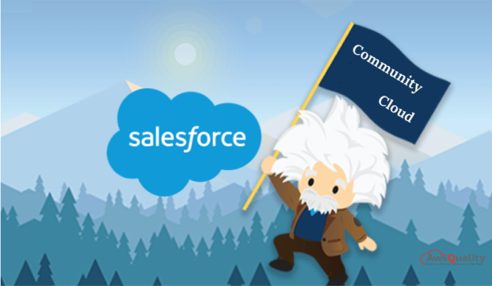 Salesforce community cloud features its 2021 hemang shah february views comment leave Salesforce community cloud vs experience cloud exploring the best platform for business success