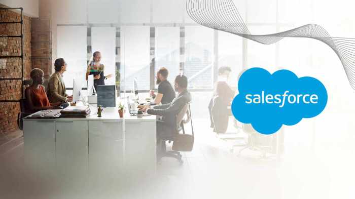 Unlocking success salesforce solutions for small businesses