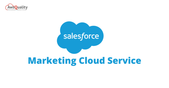 Salesforce marketing cloud platform