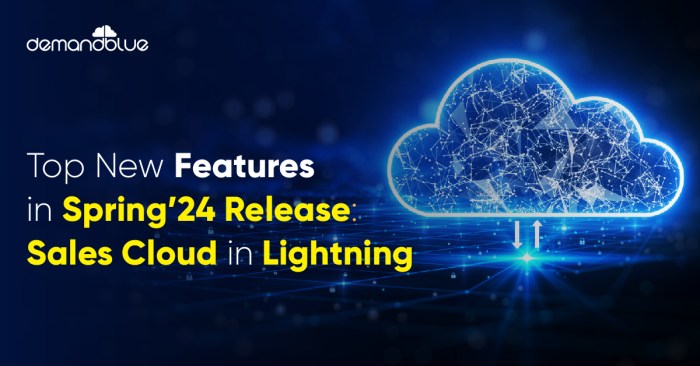 The features of salesforce in cloud computing