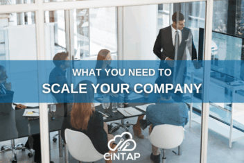How to systematically grow your technology firm to the next level