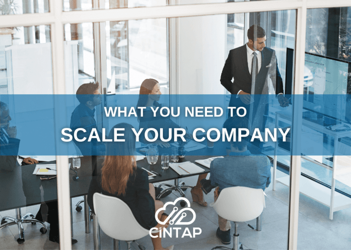 How to systematically grow your technology firm to the next level
