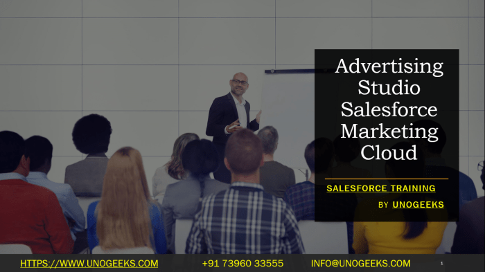 Advertising Studio Salesforce Marketing Cloud Salesforce advertising studio boost marketing