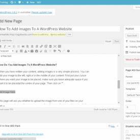 How to properly add images in wordpress