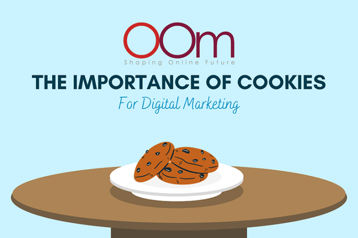 Three myths about audience targeting cookies