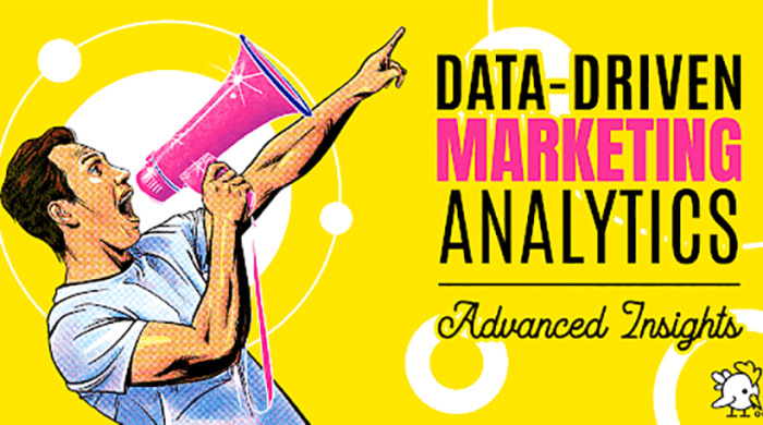 Data analytics in digital marketing
