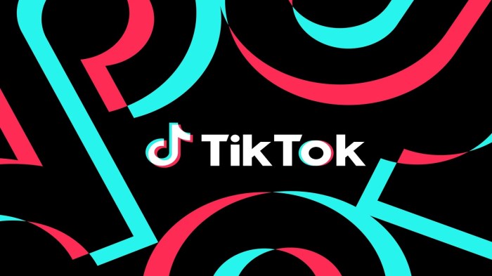 Tiktok search engine the new google