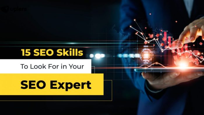 Seo specialist skills master