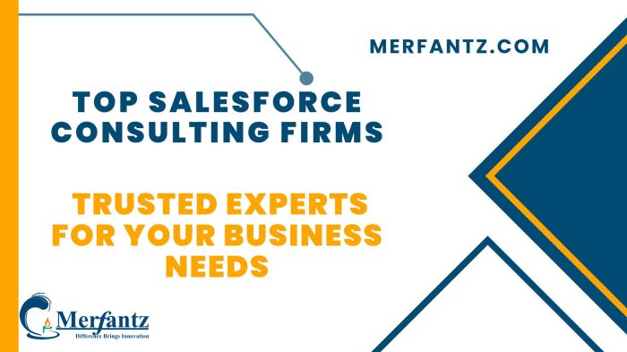Unlocking business success with salesforce consulting firms