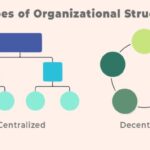 Decentralized vs centralized apps
