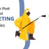 Pest strategies seo