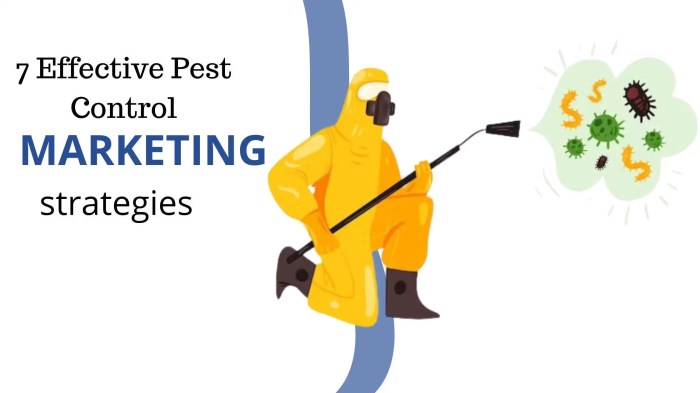 Pest strategies seo Pest strategies seo