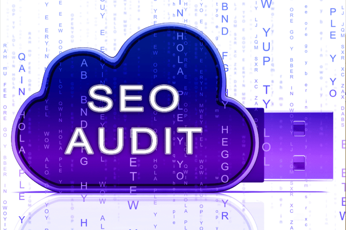 How to do a technical seo audit