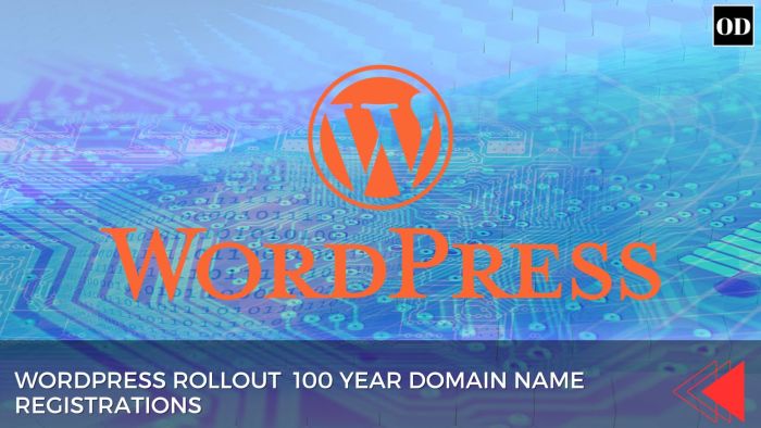 Wordpress 100 year domain name registrations