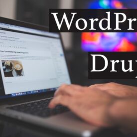 Wordpress vs drupal advantages disadvantages seo