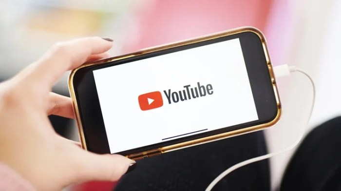 Youtube ai overviews search results test