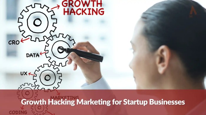 Growthhacking leverage all the elements of your marketing mix