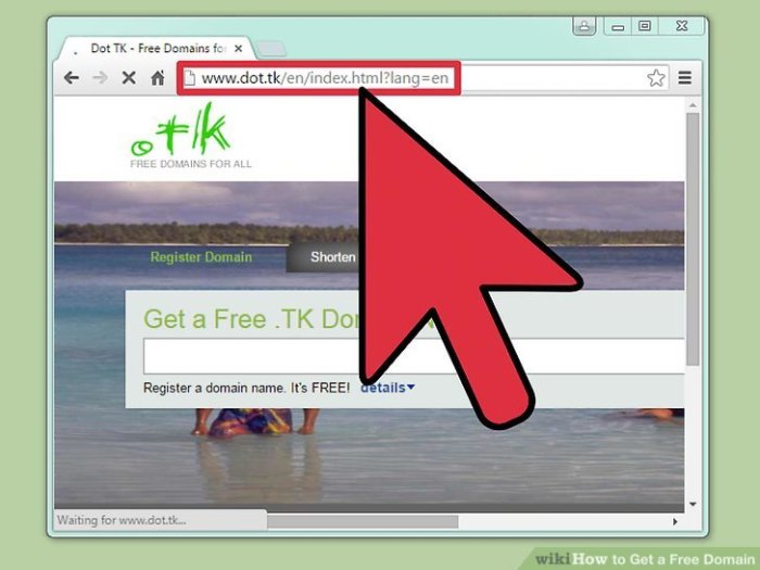 How to get a free domain