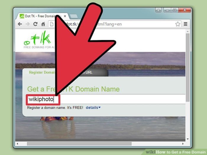 Domain year get how How to get a free domain