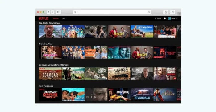 How netflix maintains low churn