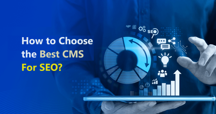Best cms for seo