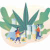 Leafly vs google seo top 5 differences for cannabis advertising
