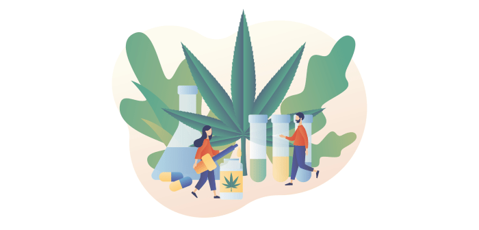 Leafly vs google seo top 5 differences for cannabis advertising