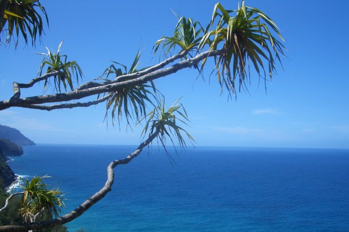 Find your blue ocean
