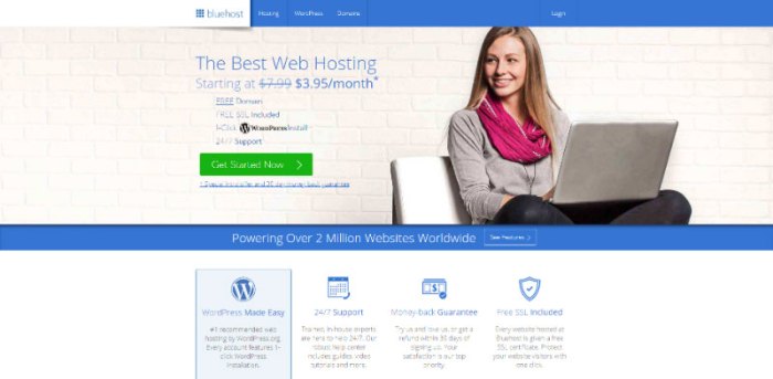 Why multiple domains are bad for seo