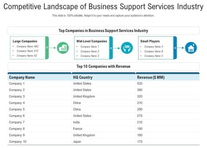 Competitive strategy for professional services