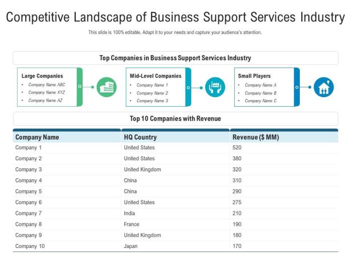 Competitive strategy for professional services