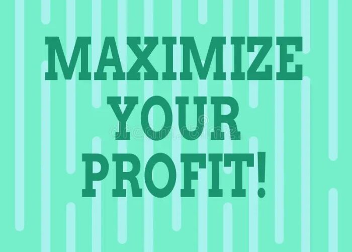 Maximize profit with ultimate guide to small business cost