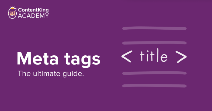 Meta tags for seo what you need to know