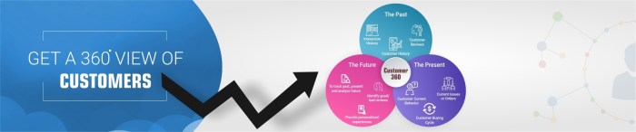 Customer salesforce crm Enhancing customer relationships with salesforce customer 360