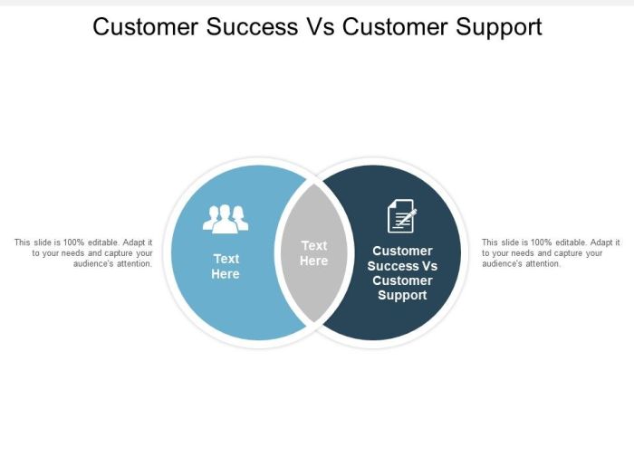 Customer success vs customer support which one matters