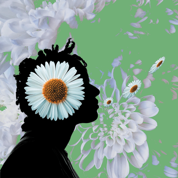 Visual content you need to use in your marketing campaign