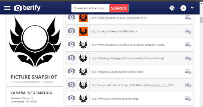Reverse image search backlinks