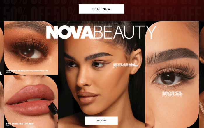 How shopify grew 10x in 3 years and how you can achieve similar results