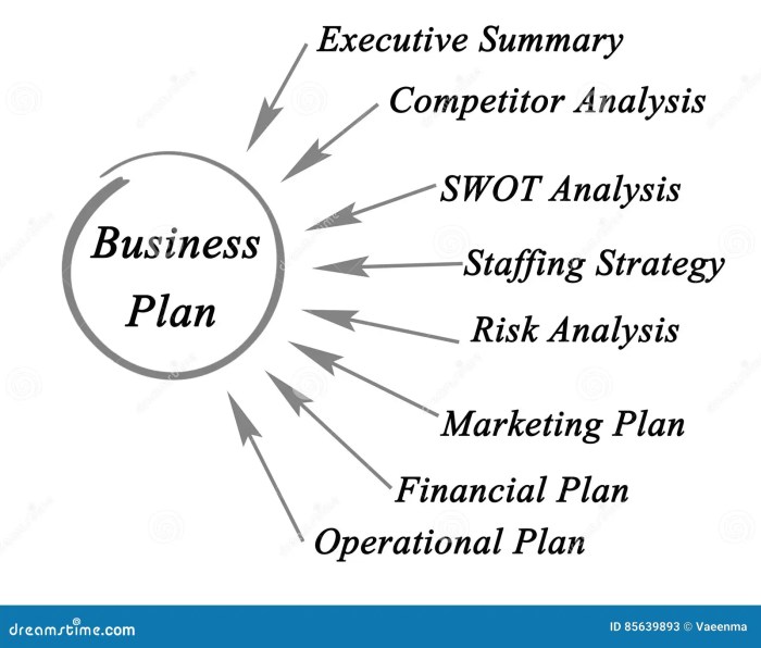 Elements of a business plan